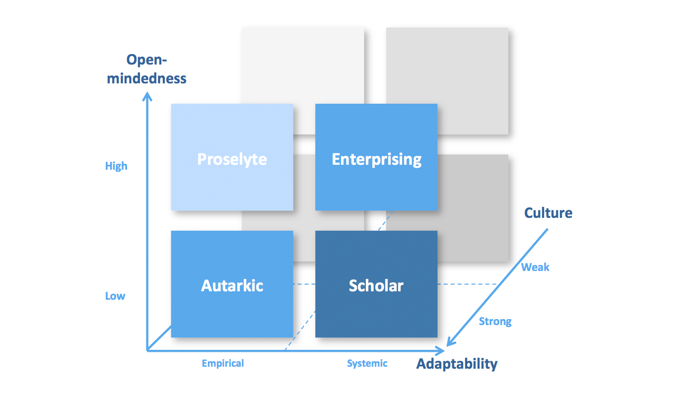 Identity classification of the organization